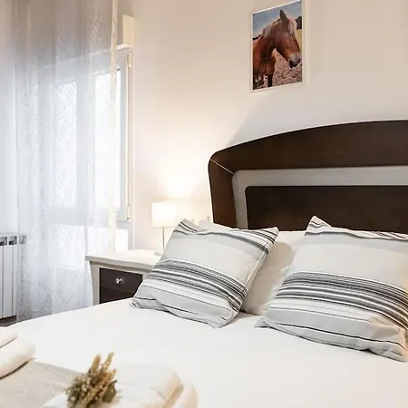 San Jose Apartment *